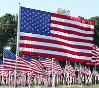 Image result for Patriotic Flags