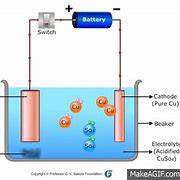 Image result for Drought Plant Electrolyte Leakage