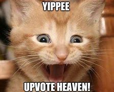 Image result for Yipee Cat Dancing Meme