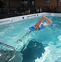 Image result for Swim Exercise Pool