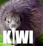Image result for Kiwi Cat Meme
