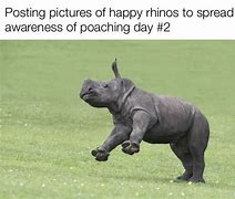 Image result for Uniparty Rhino Meme
