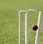 Image result for Stumps and Bails