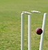 Image result for Wicket Stumps