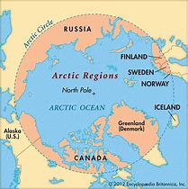 Image result for Arctica Islandica Ocean Quahog