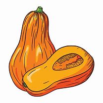 Image result for Absolutely Free Clip Art Squash