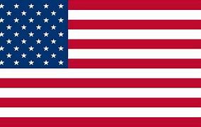 Image result for Picture of USA Flag