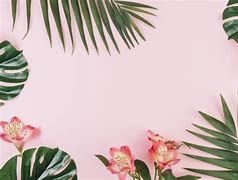 Image result for Aesthetic Picture Border Computer