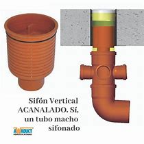 Image result for acanalad