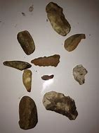 Image result for Native American Tools Found Missouri O