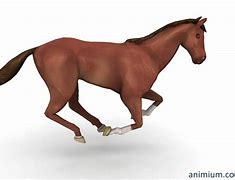 Image result for Horse Gallop Animation