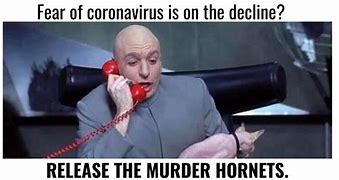 Image result for Covid Co-Worker Meme