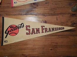 Image result for SF State Logo Pennant
