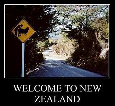 Image result for New Zealand Australia Memes