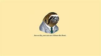 Image result for Funny Sloth Wallpaper