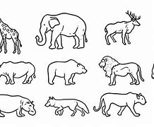 Image result for How to Draw Wild Animals Step by Step