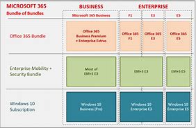 Image result for Microsoft Office License