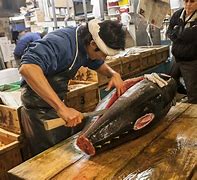 Image result for Fish Market Tokyo Japan