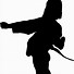 Image result for Martial Arts Silhouette Black and White