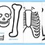 Image result for Life-Size Body Project Skeleton Printable