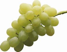 Image result for Green Grapes