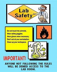 Image result for Science Lab Safety Poster Drawing