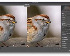 Image result for Grain Effect Photoshop
