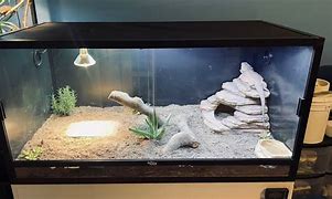Image result for 4X2x2 Reptile Tank Zoo Med