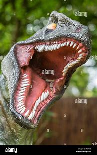 Image result for Dinosaur Sharp Teeth