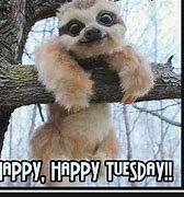 Image result for Happy Tuesday Meme