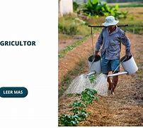 Image result for Toro Y Agricultor