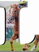 Image result for Texcao Racing Horse Sign