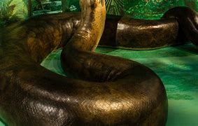 Image result for Biggest Snake That Ever Lived