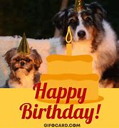 Image result for Happy Birthday Char Dog