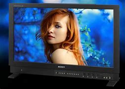 Image result for Sony Bvm-X300