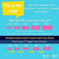 Image result for Difference Between D and DD