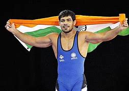 Image result for Wrestling Federation of India Playesr