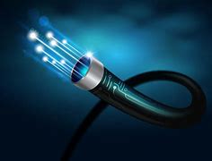Image result for Fiber Optic Cable Swivel