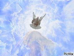 Image result for Baby Catching Holy Ghost GIF
