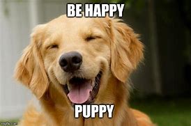 Image result for Happy Dog Meme