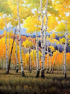 Douglas Aagard | Landscape art painting, Birch tree art, Oil painting landscape