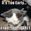 Image result for Funny School Memes Animals