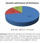 Image result for Sinhalese Human Subgenre