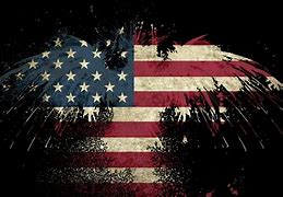 Image result for USA iPhone 5C Wallpaper