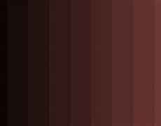 Image result for Brownish Red Color