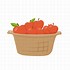 Image result for Basket of Apple's Drawing