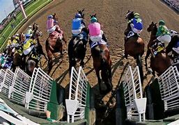 Image result for Horse Racing Starting Gate