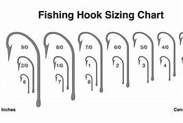 Image result for Saltwater Hook Size Chart