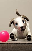Image result for Sony Aibo Newest Model