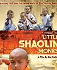 Image result for Shaolin Monks Kung Fu Movies